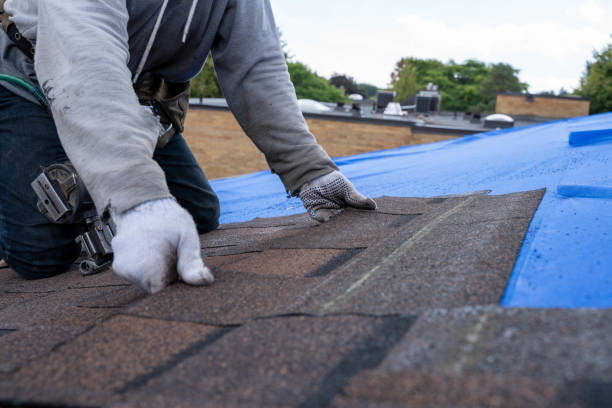 Best Roof Leak Repair  in Marshalltown, IA