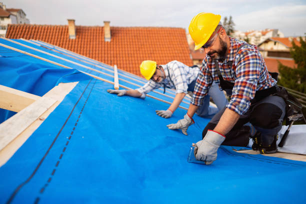 Best Roof Gutter Cleaning  in Marshalltown, IA